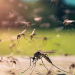 Arbovirosi-Dengue-luoghi-lavoro_Siria